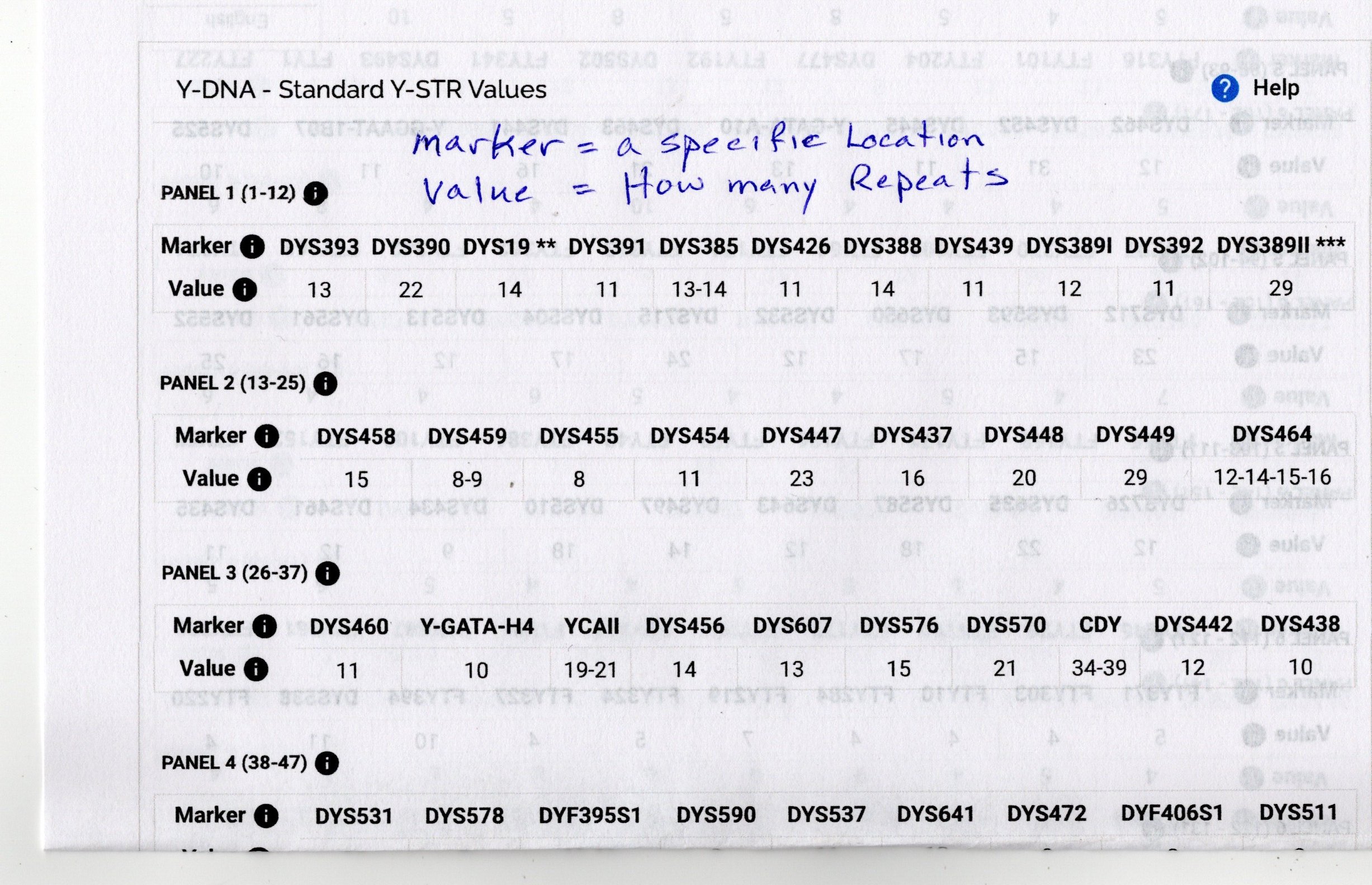 Ystr The Y Chromosome – Genealogy and More